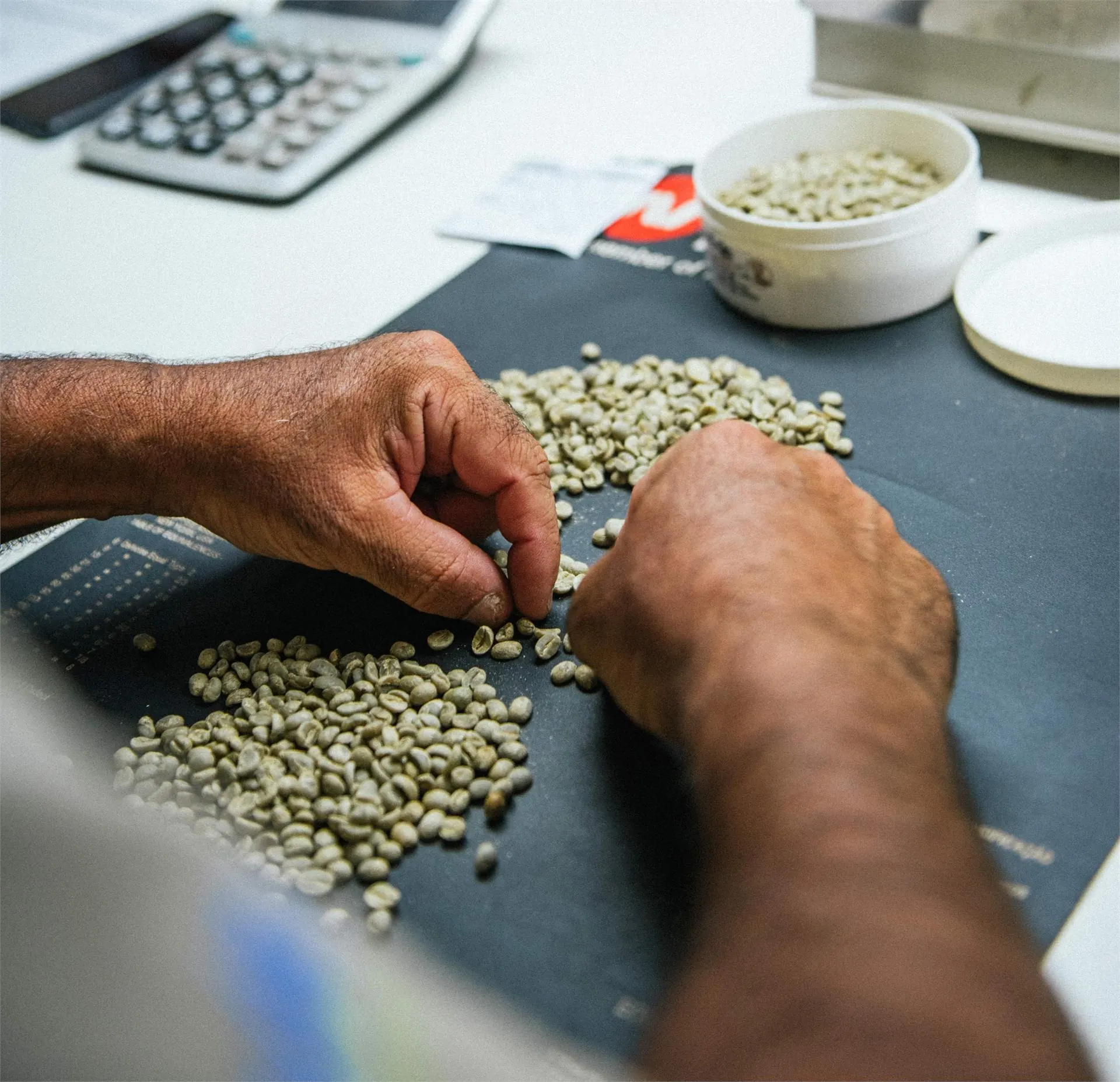 Grãos de café em seleção